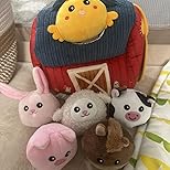 Radu I. – Cluj-Napoca